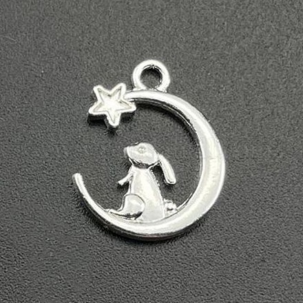 Подвески из сплава  FIND-CJC0004-61S-1