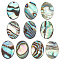 10Pcs Natural Paua Shell Cabochons, Oval, 14x10x1.5mm
