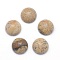 Natural Picture Jasper Cabochons, Half Round, 4x2~2.5mm