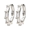 Brass Micro Pave Cubic Zirconia Hoop Earrings, Rectangle, Platinum, 16x2x17mm