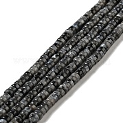 Натуральные нити бус из ларвикита G-D474-01