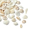 48Pcs 4 Styles Natural Shell Beads, Mixed Shapes, Mixed Color, 17~25x6~32x6~13mm, Hole: 1~1.2mm, 12pcs/style