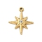 304 Stainless Steel Rhinestone Pendants, Golden, Star, 20.5x17.5x3.5mm, Hole: 1.2mm