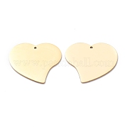 Подвески из нержавеющей стали 304 STAS-Y006-11G