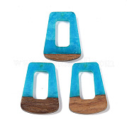 Подвески из смолы и дерева WOOD-F015-11E