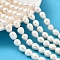 Natural Cultured Freshwater Pearl Beads Strands, Rice, Grade 3A, Old Lace, 9~10mm, Hole: 0.6mm, about 35~36pcs/strand, 15.55''~15.75''(39.5~40cm)