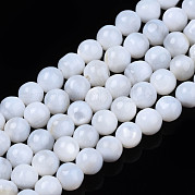 Нити бусин из натуральных пресноводных ракушек SHEL-N003-24-A01