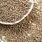 Electroplate Glass Seed Beads, 12/0, Rondelle, Pale Goldenrod, 2x2mm, Hole: 0.5mm, 4000pcs/50g