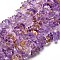 Natural Ametrine Chip Beads Strands, 9~15x9~15mm, Hole: 1mm, about 15.3 inch~15.9 inch