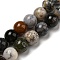 Natural Dendritic Jasper Beads Strands, Chohua Jasper, Round, 6mm, Hole: 0.8mm, about 65pcs/strand, 15.35''(39cm)