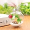 Transparent Plastic Fillable Ball Pendants Decorations, with Red Fruit inside, Christmas Tree Hanging Ornament, Clear, 60mm
