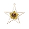 Natural Tiger Eye & Handmade Glass Seed Beaded Star Pendants, with Brass Findings, Golden, Yellow, 39.5x38.5x8mm, Hole: 1.8mm
