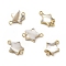 Natural Trochus Shell Connector Charms, Star Links with Brass Double Loops, Light Gold, 17~19x13x3~4mm, Hole: 1.8mm