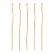 Iron Flat Head Pins, Cadmium Free & Lead Free, Light Gold, 50x0.75~0.8mm, 20 Gauge, about 2100pcs/500g, Head: 2mm