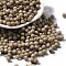 Baking Paint Glass Seed Beads, Bicone, Dark Khaki, 4.5x4mm, Hole: 1.1mm, about 6428pcs/pound