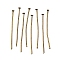 Iron Flat Head Pins, Cadmium Free & Nickel Free & Lead Free, Antique Bronze, 35x0.75~0.8mm, 20 Gauge, about 5400pcs/1000g, Head: 2mm