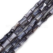 Нити бусин из натуральных пресноводных ракушек SHEL-G013-01K