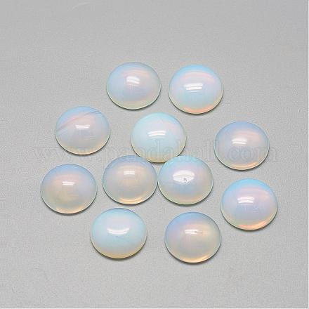 Opalite кабошоны G-R416-8mm-49-1