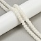 Natural Bodhi Root Beads Strand, Buddha Beads, Rondelle, White, 8x6mm, Hole: 1.4mm, about 114pcs/strand, 26.52''(67.35cm)