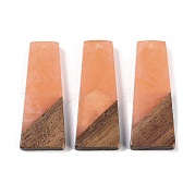 Подвески из смолы и дерева WOOD-F015-04F