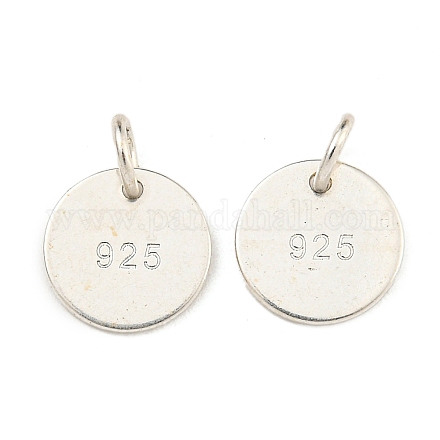 6 шт. 925 подвески из стерлингового серебра STER-BC0001-64-1