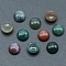 Natural Indian Agate Cabochons, Half Round, 10x5mm
