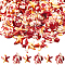 100Pcs 2 Styles Synthetic Turquoise Dyed Beads Strands, Fuel Injection Effect, Starfish & Sea Turtle, Orange Red, 13.5~18x14~15x5~7mm, Hole: 1.5~1.6mm, 50pcs/style