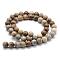 Natural Fossil Coral Beads Strands, Round, 10mm, Hole: 1mm, about 38pcs/strand, 15 inch