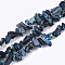 Natural Imperial Jasper Beads Strands, Dyed, Chips, Marine Blue, 4~18x4~15x1~10mm, Hole: 1mm, about 88~100pcs/strand, 15.3 inch~15.7 inch
