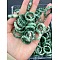Natural Green Spot Jasper Finger Rings, Inner Diameter: 17~20mm