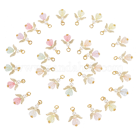 30шт прозрачные акриловые подвески FIND-PH0008-05-WH-1