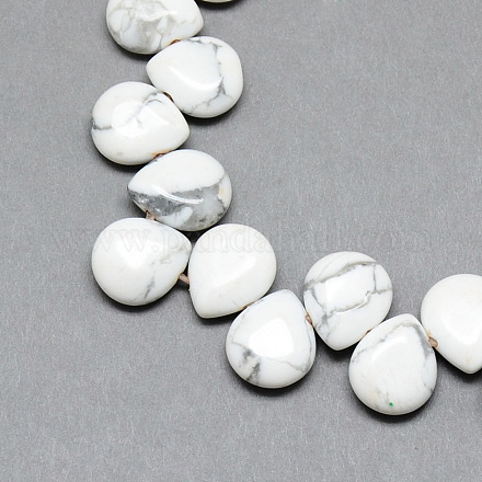 Естественно Howlite драгоценный бисер пряди G-T005-17-1
