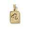 304 Stainless Steel Twelve Constellations Pendants, Real 18K Gold Plated, Rectangle Charm, Leo, 17.5x12x2mm, Hole: 7.5x3.5mm