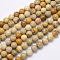 Natural Fossil Coral Beads Strands, Round, 8~8.5mm, Hole: 1mm, about 49pcs/strand, 15.7 inch(40cm)