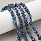 Natural Lapis Lazuli Star Beads Strands, 7.5x8x4.5mm, Hole: 0.8mm, about 54~56pcs/strand, 15.12''~15.20''(38.4~38.6cm)