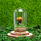 Glass Dome Cover with Natural Tiger Eye Mushroom Inside, Cloche Bell Jar Terrarium with Cork Base, Micro Landscape Garden Decoration Accessories, 30x55mm