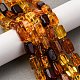 Нити бусин из натурального янтаря градиентного цвета G-F803-D01-03-1