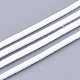 Шнуры из искусственной замши LW-R023-2.8mm-17-1