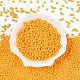 Выпечка краска стеклянные бусины SEED-T006-03N-1