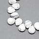 Естественно Howlite драгоценный бисер пряди G-T005-17-1