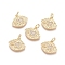 Brass Micro Pave Cubic Zirconia Pendants, with Jump Ring, Eye with Elephant, Clear, Golden, 13x15.5x2mm, Hole: 3mm