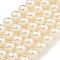 Glass Pearl Beads Strands, Round, Bisque, 12mm, Hole: 0.8mm, about 35pcs/strand, 16.14''(41cm)