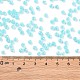 6/0 круглые стеклянные бусины непрозрачного цвета с радужным покрытием SEED-T006-04D-06-4