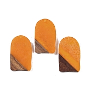 Подвески из смолы и дерева WOOD-F015-13E