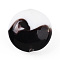 Handmade Lampwork Beads, Flat Round, Two Tone, Coconut Brown, 19.5~21x10~11mm, Hole: 1.4~2.2mm