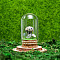 Glass Dome Cover with Natural Dalmatian Jasper Mushroom Inside, Cloche Bell Jar Terrarium with Cork Base, Micro Landscape Garden Decoration Accessories, 30x55mm