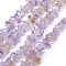 Natural Ametrine Beads Strands, Grade B, Chip, 5~8mm, Hole: 1mm, about 80~81cm