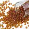 TOHO Round Seed Beads, Japanese Seed Beads, (303) Inside Color Jonquil/Hyacinth Lined, 8/0, 3mm, Hole: 1mm, about 222pcs/10g