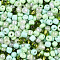 Opaque & Transparent Inside Colours Glass Seed Beads, Round Hole, Round, Mixed Color, Pale Green, 4mm, Hole: 1.4~1.5mm