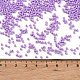 Выпечка краска стеклянные бусины SEED-S042-05B-71-4
